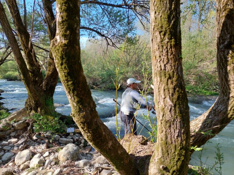 Trota Torrente